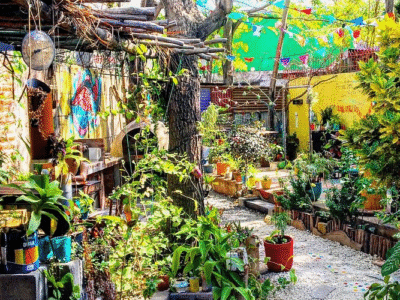 Simon Says Smoothie Bar