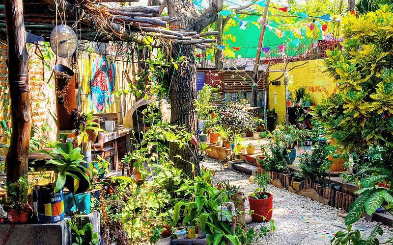 Simon Says Smoothie Bar